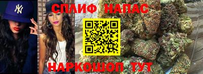 прущие грибы Кунгур
