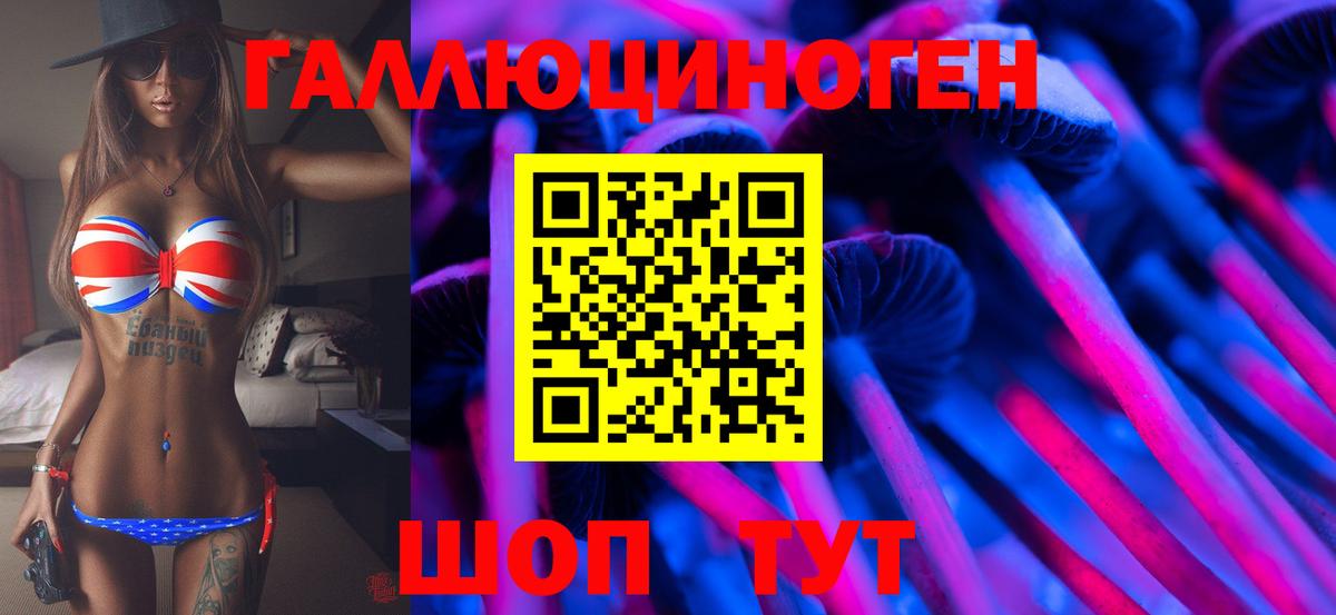 Псилоцибиновые грибы Psilocybine cubensis  Вход с VPN  Елец 